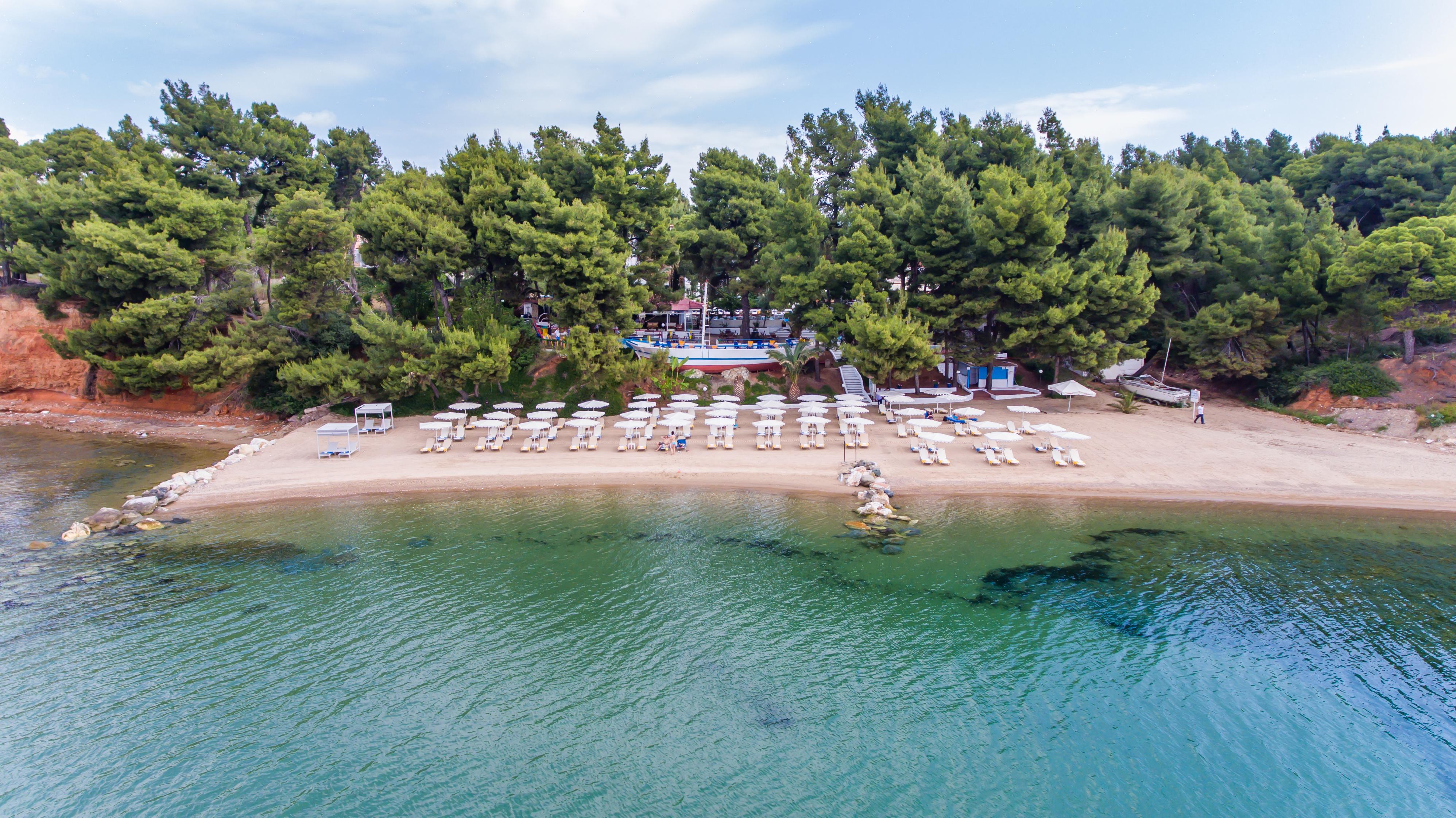 Porfi Beach Hotel Nikiti  Extérieur photo