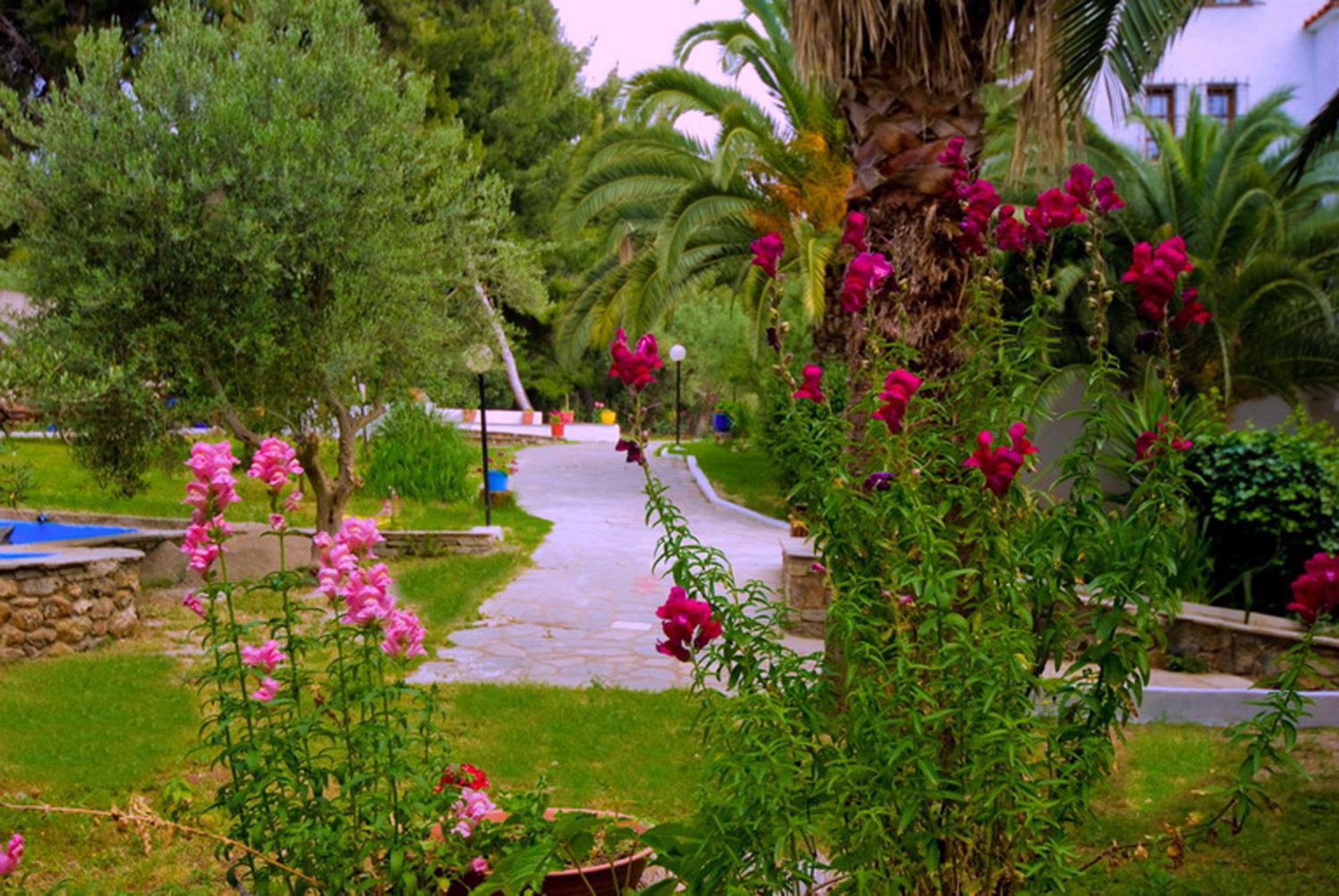 Porfi Beach Hotel Nikiti  Extérieur photo